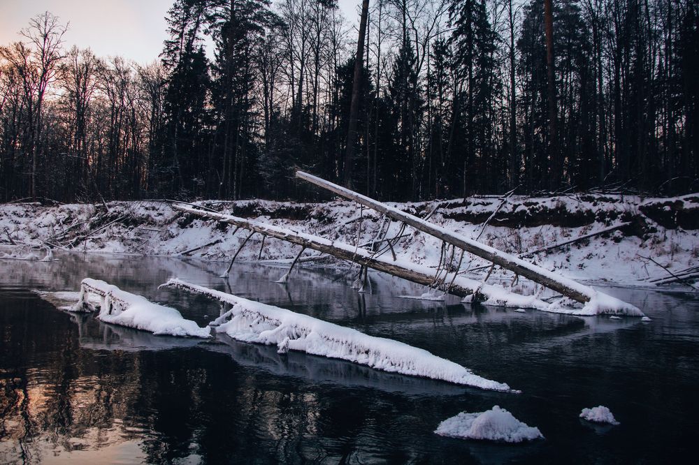 Photograph by Анастасия Демьянова