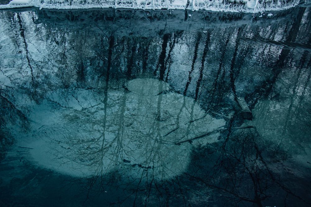 Photograph by Анастасия Демьянова