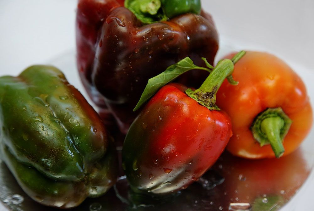 Photograph by Любовь