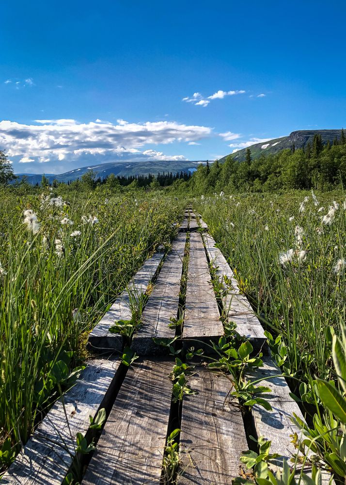 On the way to something new