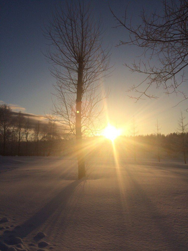 Photograph by Шумар Михайлович