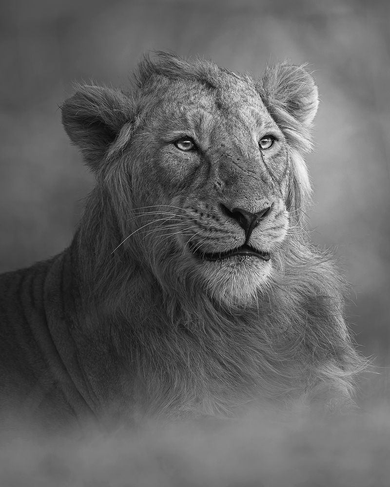 Photograph by Jignesh Patel