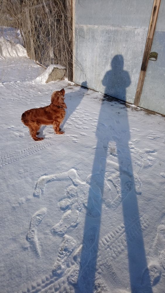 Photograph by Людмила Воропаева