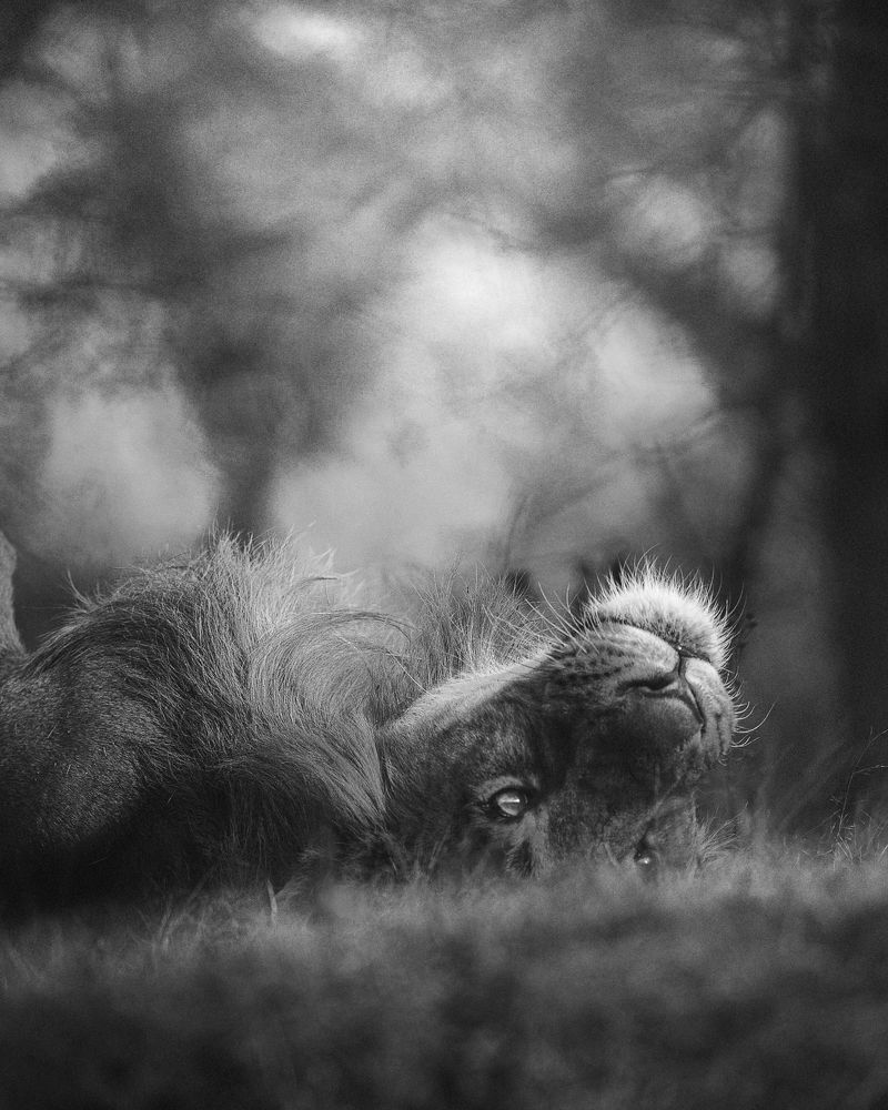 Photograph by Jignesh Patel