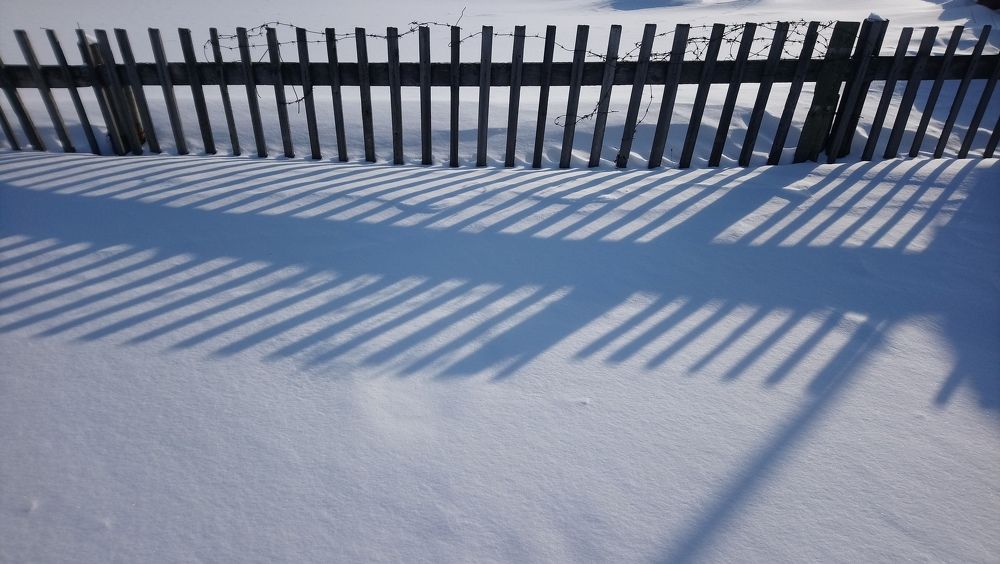 Photograph by Людмила Воропаева