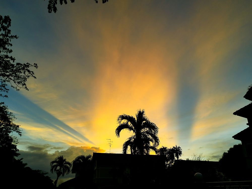 Photograph by Chunhou Poon