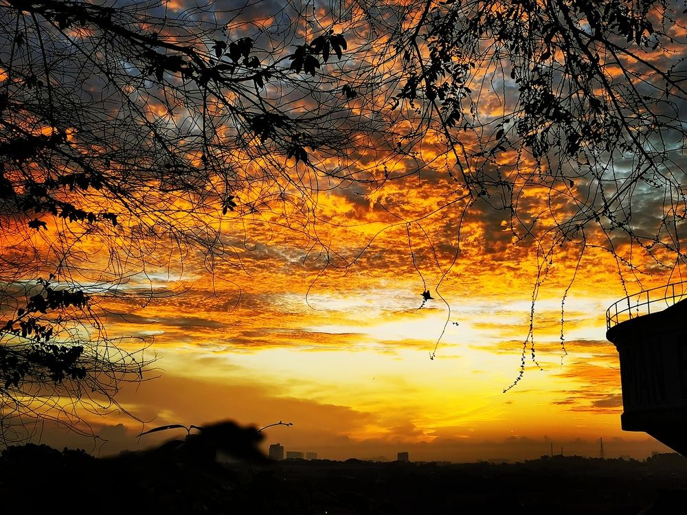 Photograph by Chunhou Poon