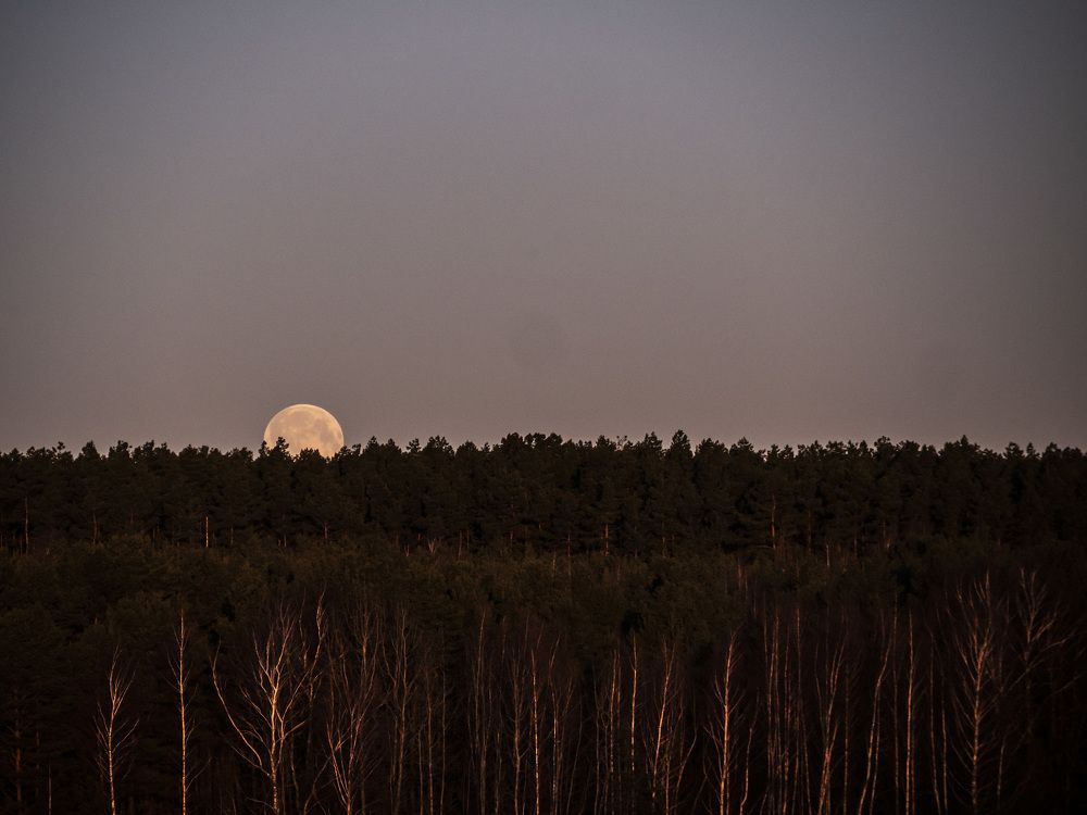 Photograph by Mindaugas Dinda