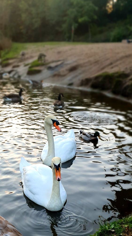 На закате дня