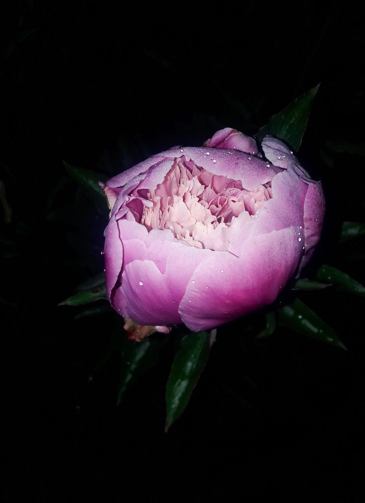 Фотография автора Марина Гусева