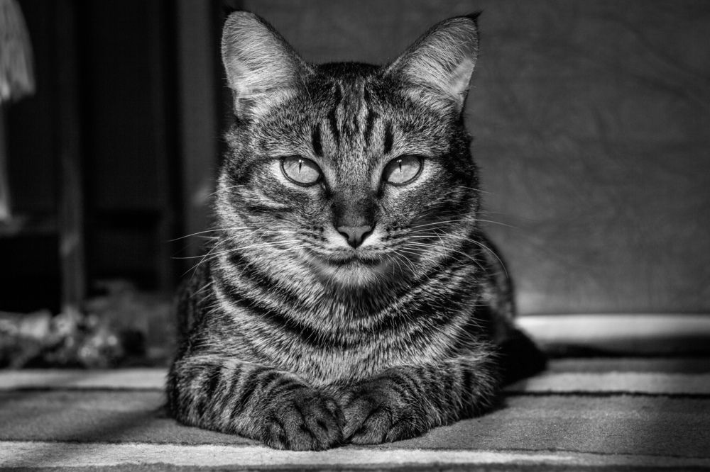 Photograph by Сергей Фаренюк