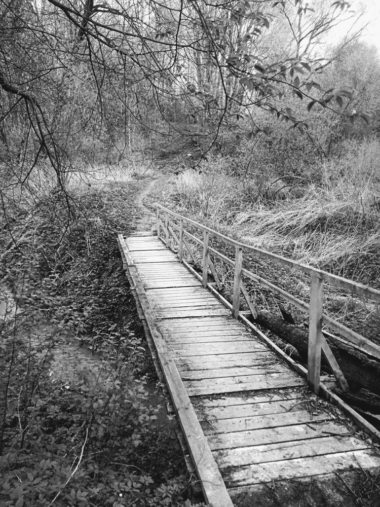 Photograph by Светлана Замятина