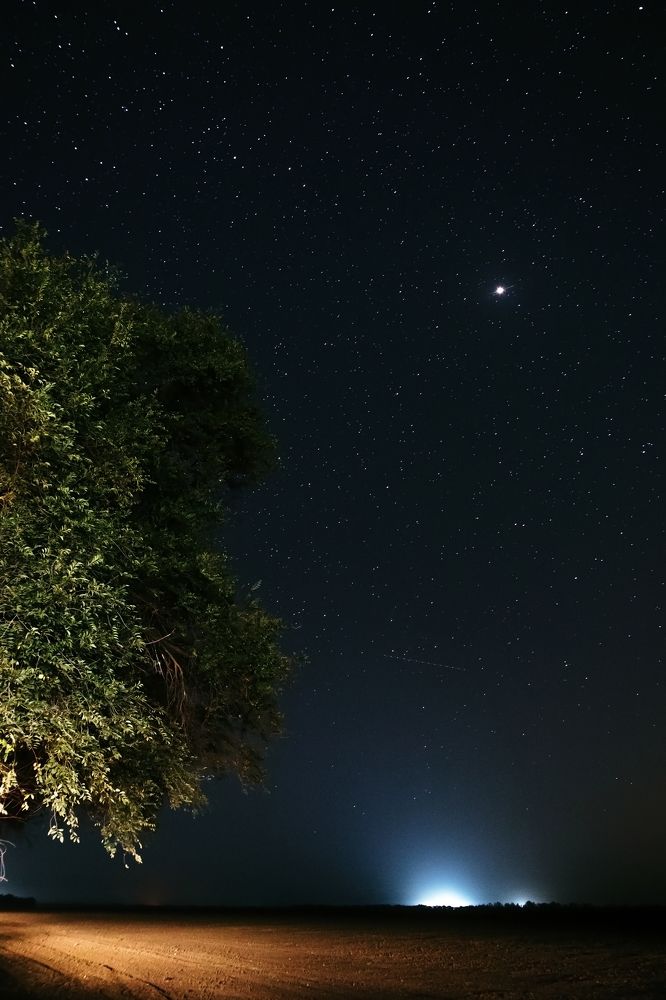 Photograph by Анастасия Мелёхина