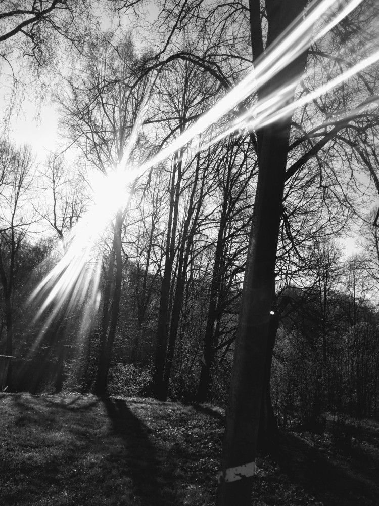 Photograph by Светлана Замятина