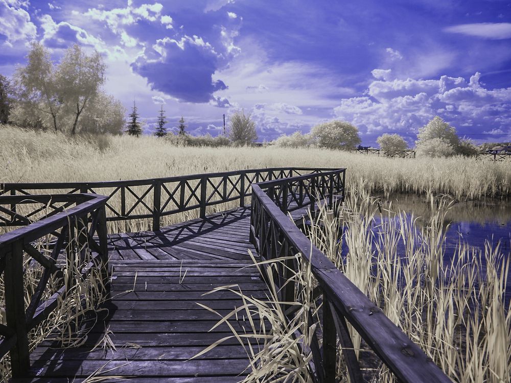 walking on the infrared