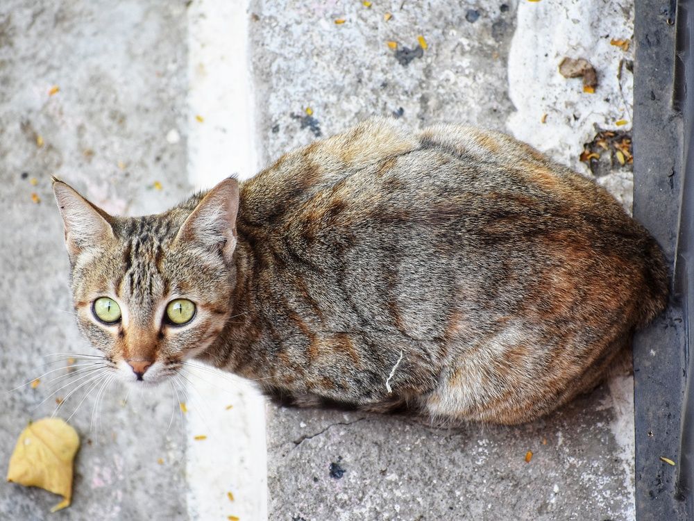 Photograph by Bhanupriya Marke