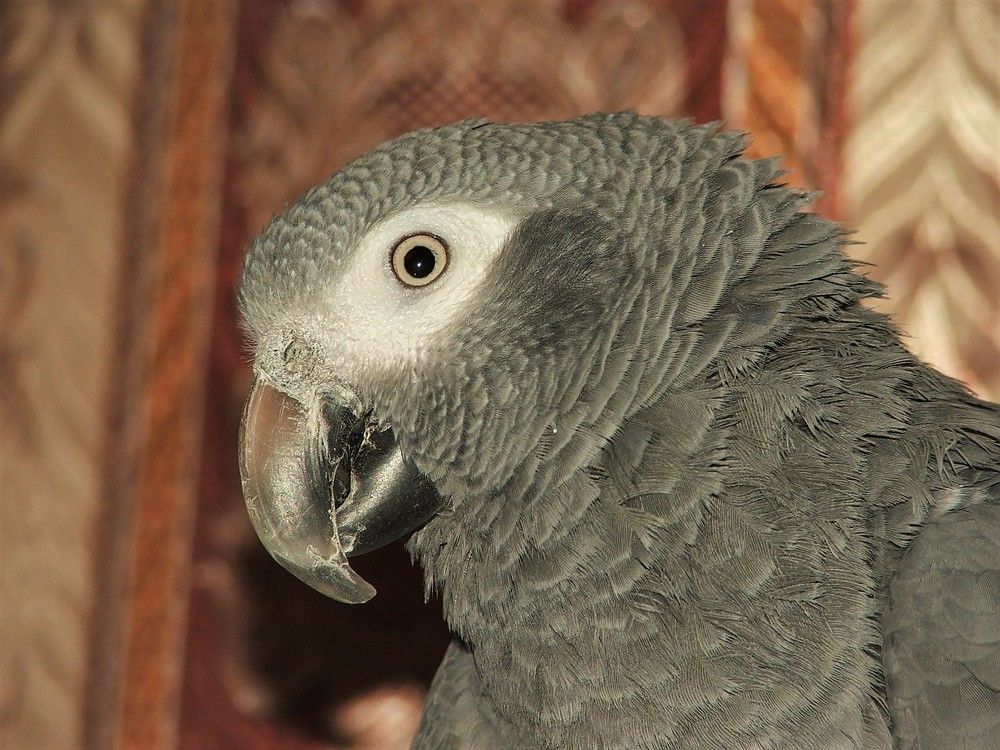 Фотография автора Владислава Андрюнина