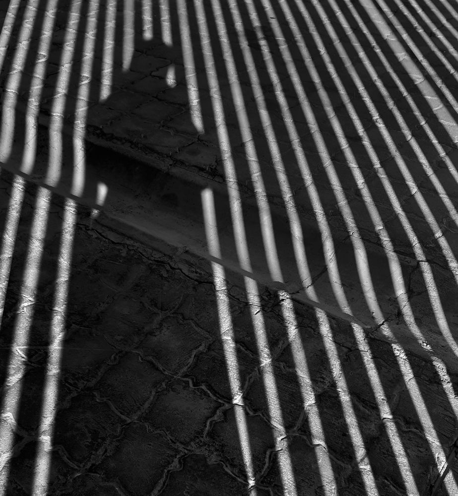 Photograph by Faeze Sahraei