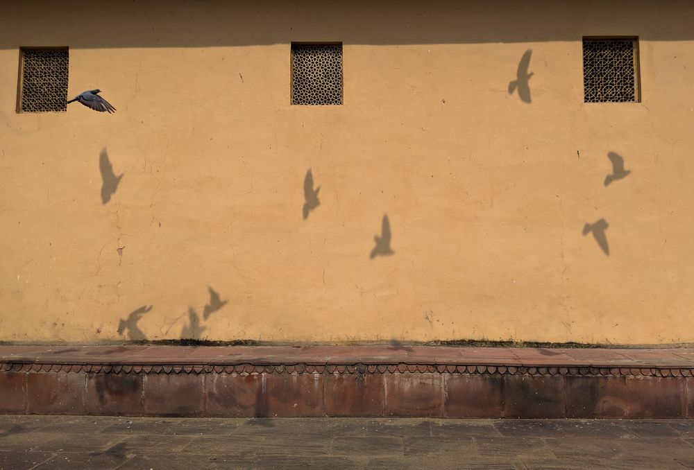 Photograph by Sunil Choudhary