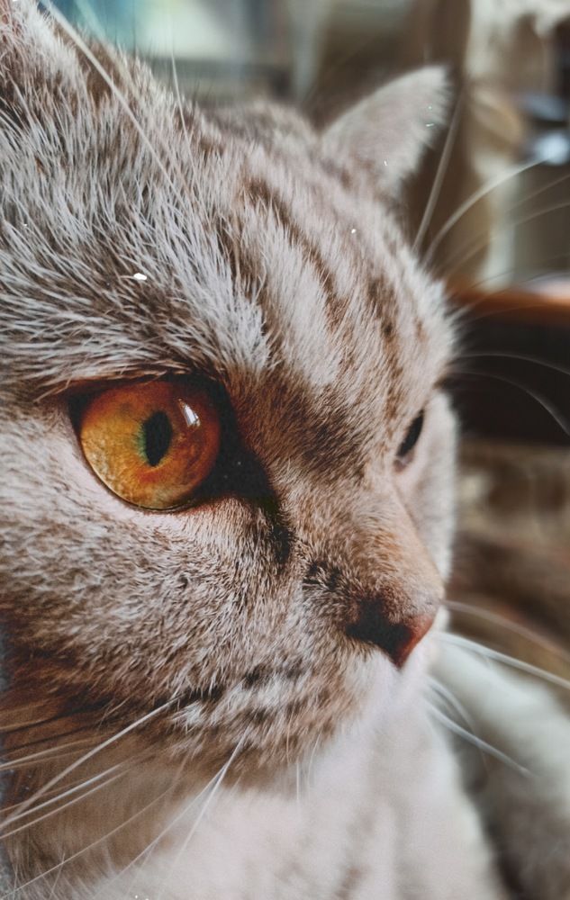 Photograph by Полина Химич