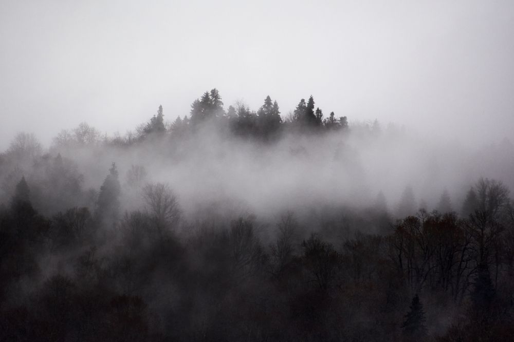 Photograph by  Мелсон