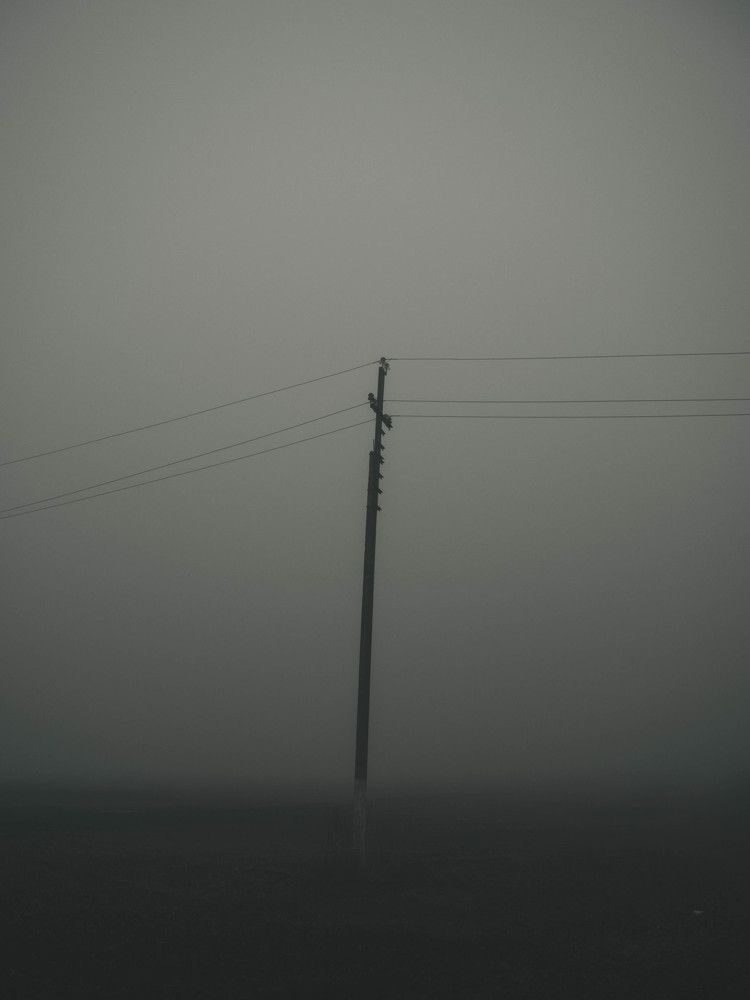 Photograph by Алексей Коротеев