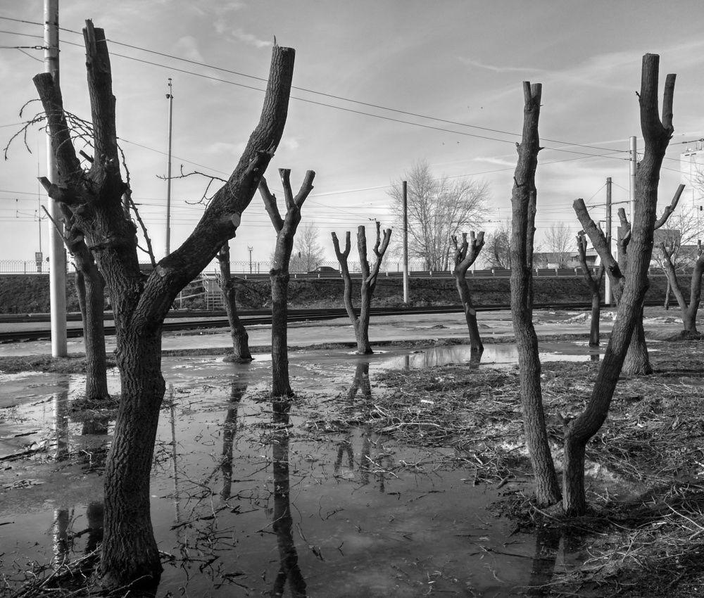 Photograph by Анна Копанева