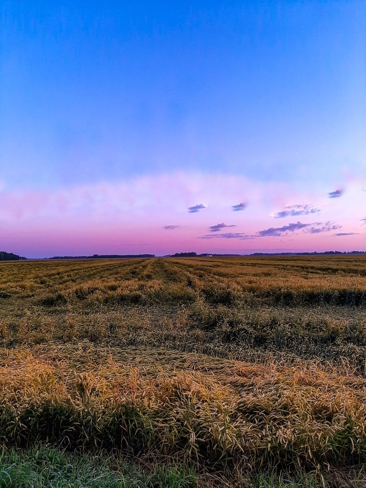 Photograph by Iljana Luksa