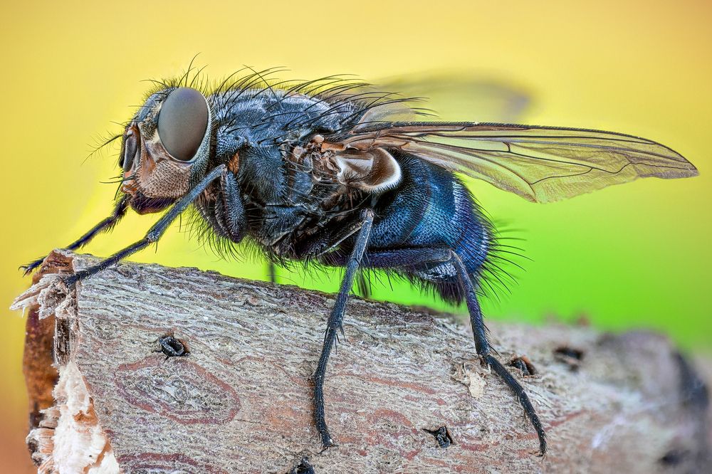 Photograph by Dobrin Ivanov