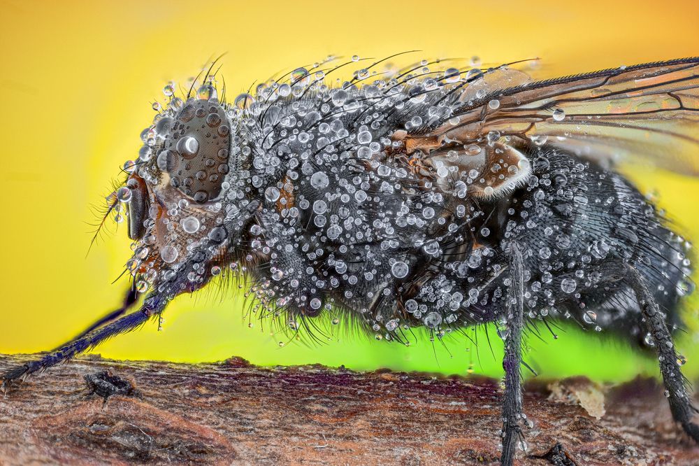 Photograph by Dobrin Ivanov