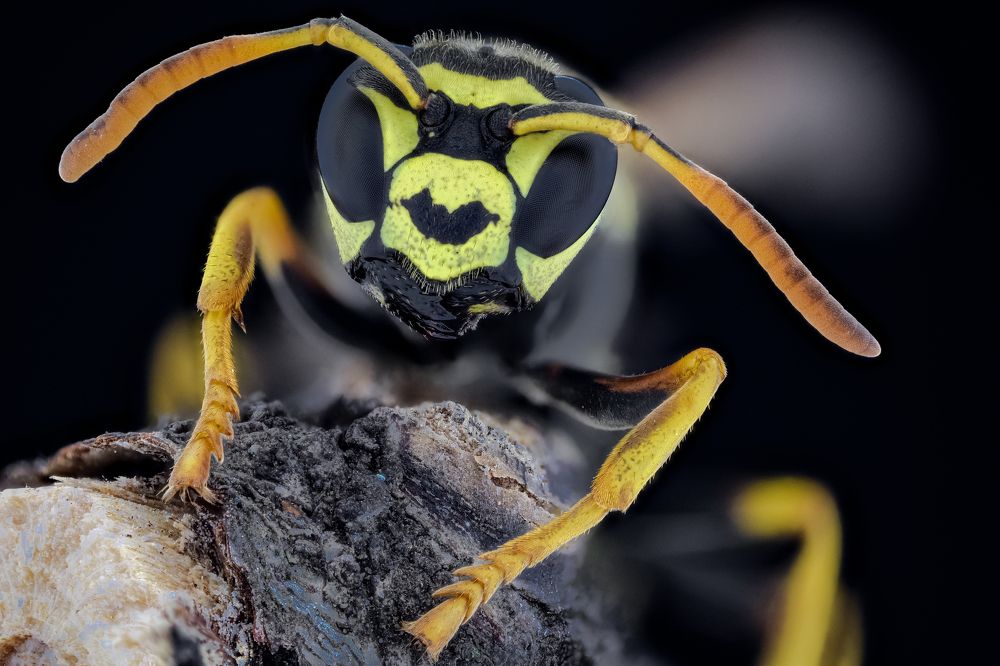 Photograph by Dobrin Ivanov