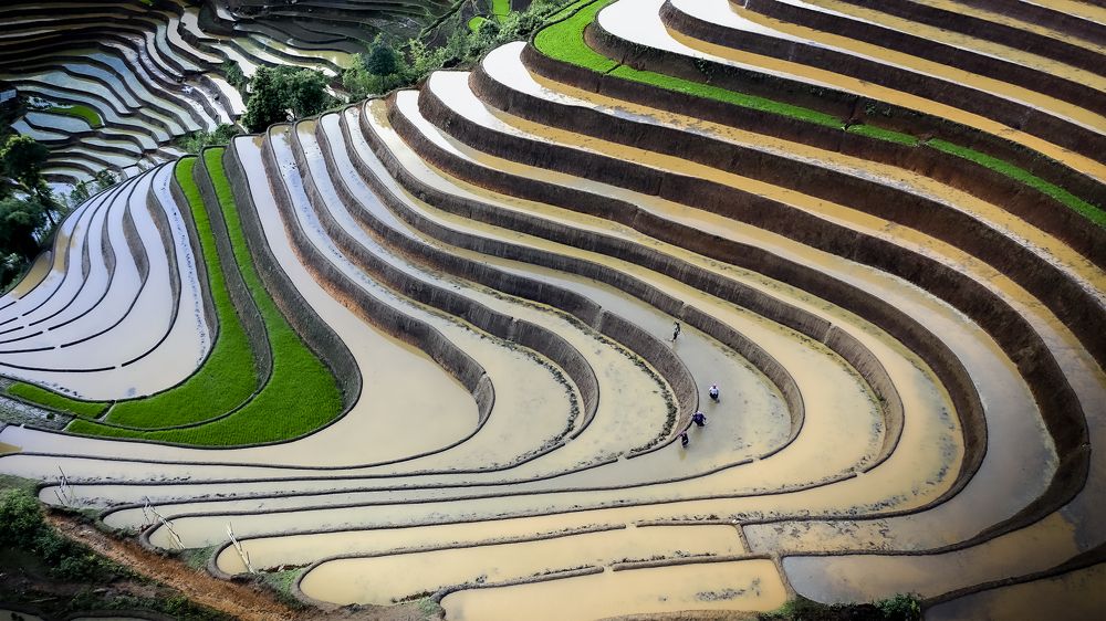 Photograph by nguyễn đình huấn