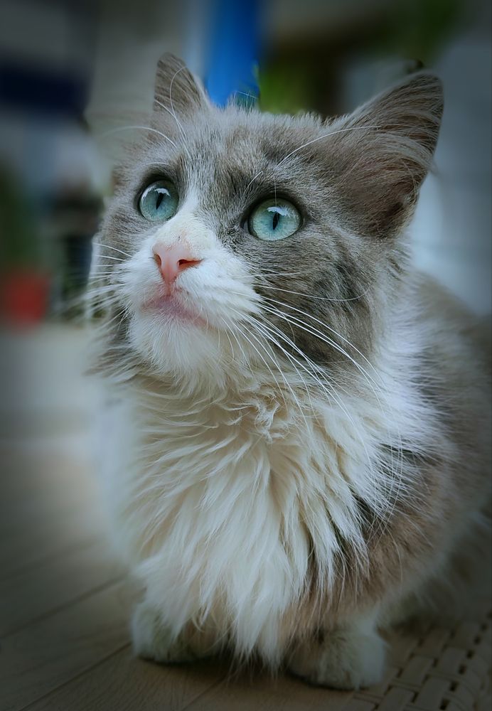 Photograph by Hassan Ghazel