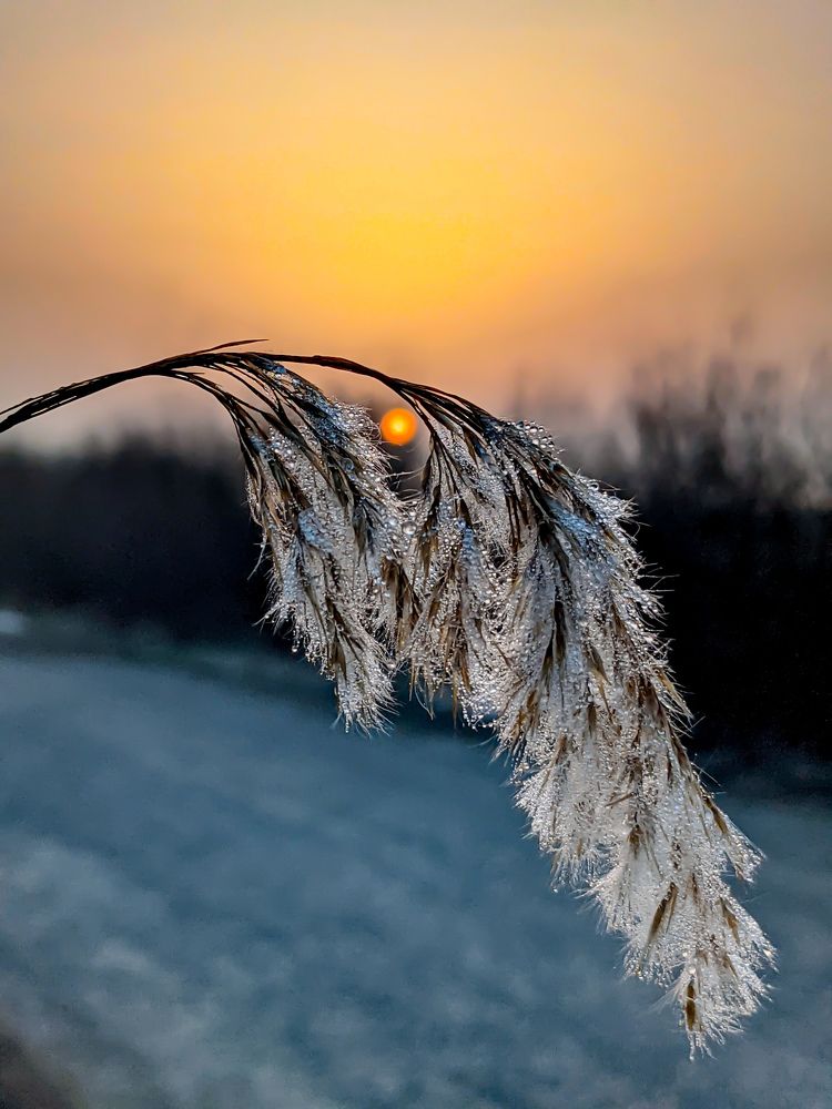 Утренний рассвет.