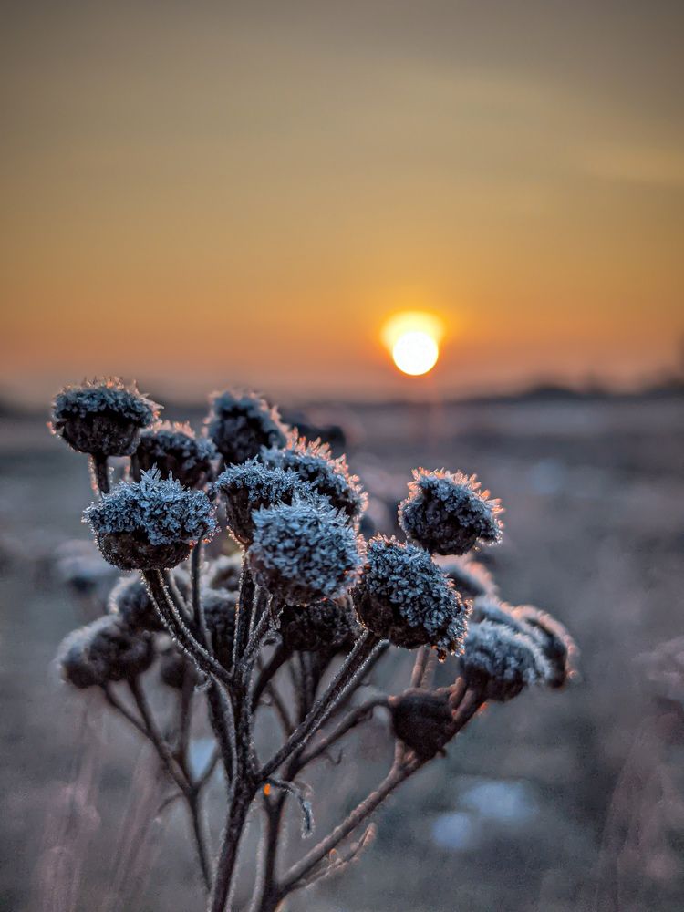 Photograph by Денис