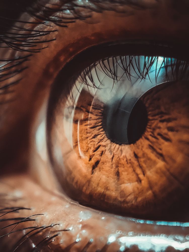 Photograph by Sudhanshu Banotiya