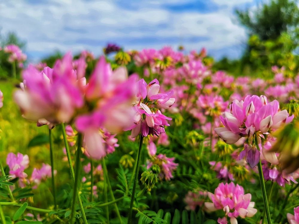 Photograph by Владимир Прорешный