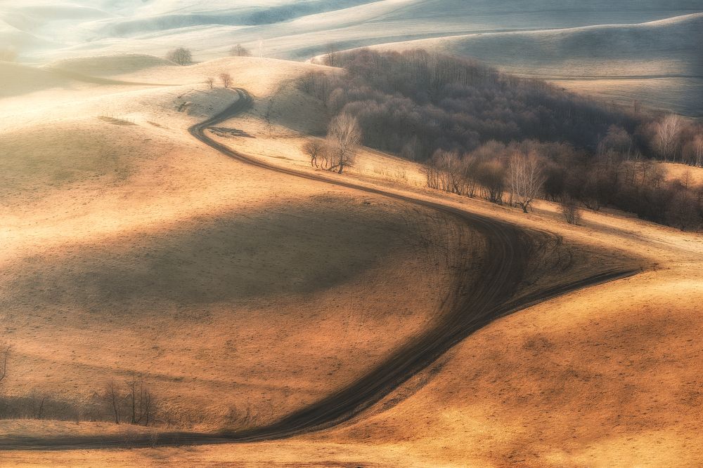 Photograph by Александр Орнатский