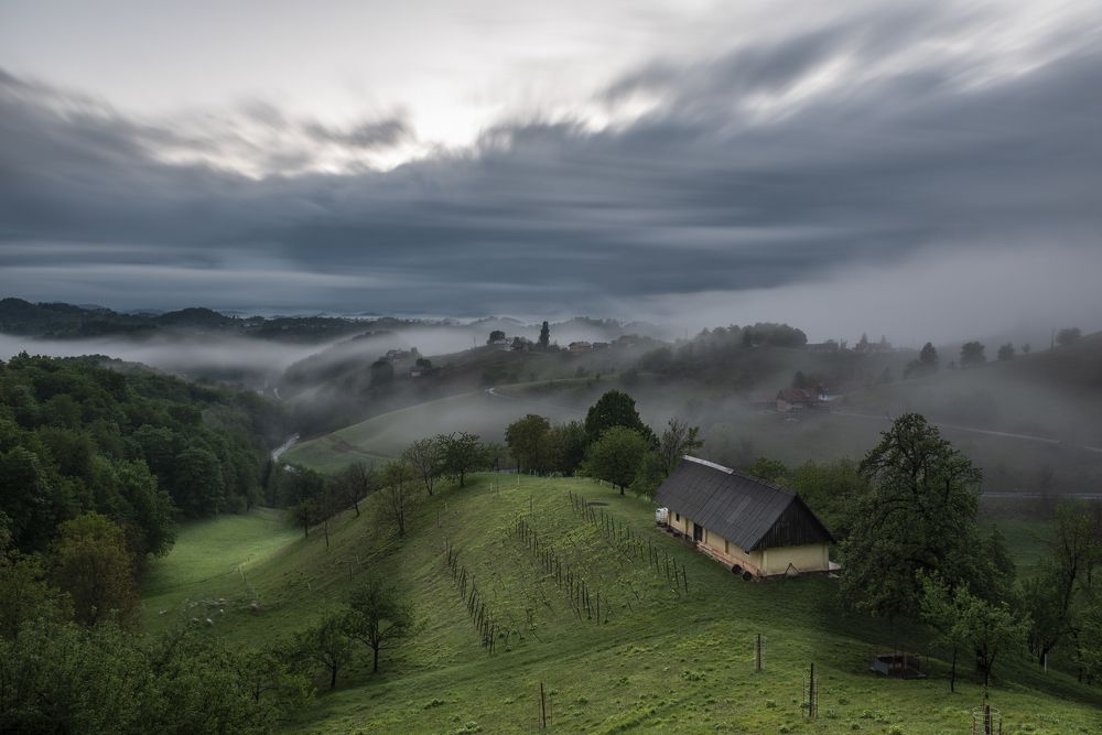 Photograph by Sandi Kelc