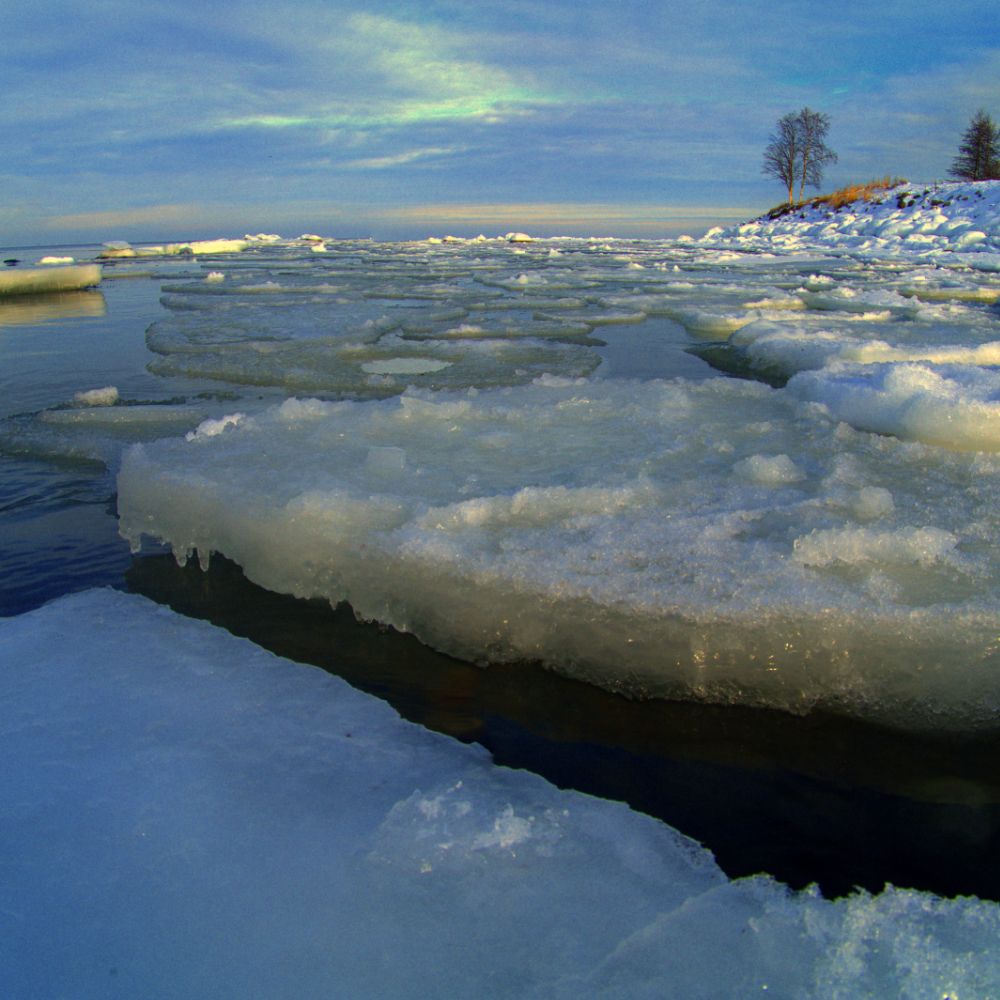 Photograph by Aleksei Degtjarjov