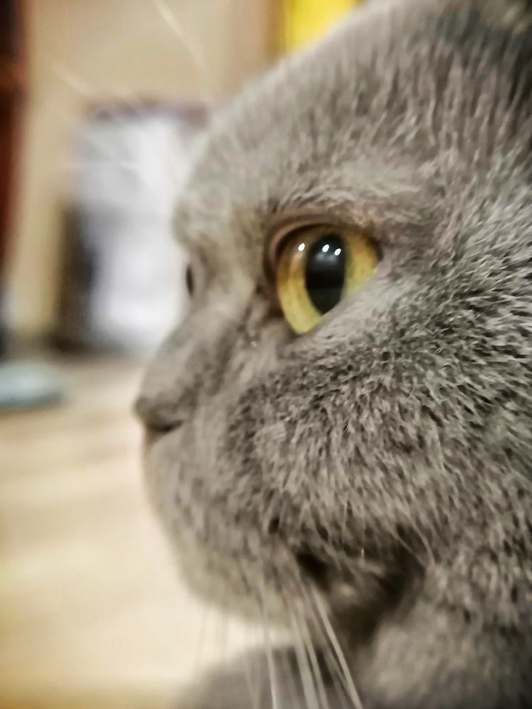 Фотография автора Галина