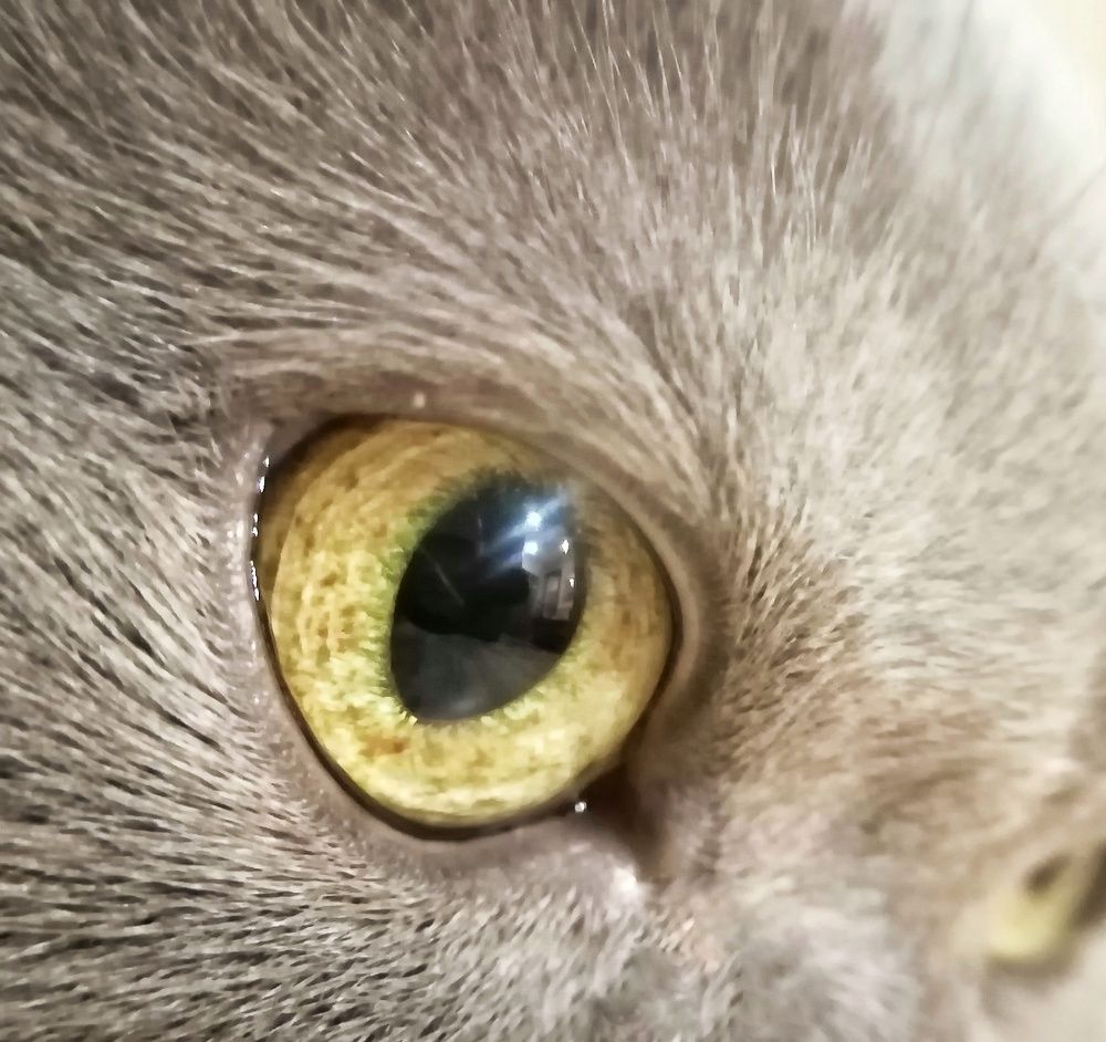 Фотография автора Галина