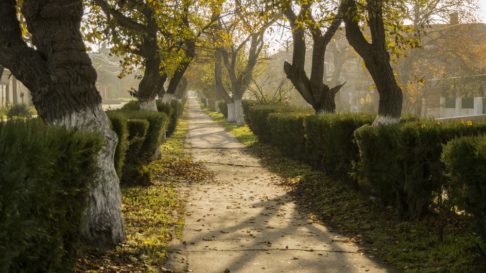 Photograph by Виталий Жгущий