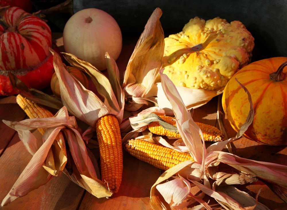 Photograph by Мария Утехина