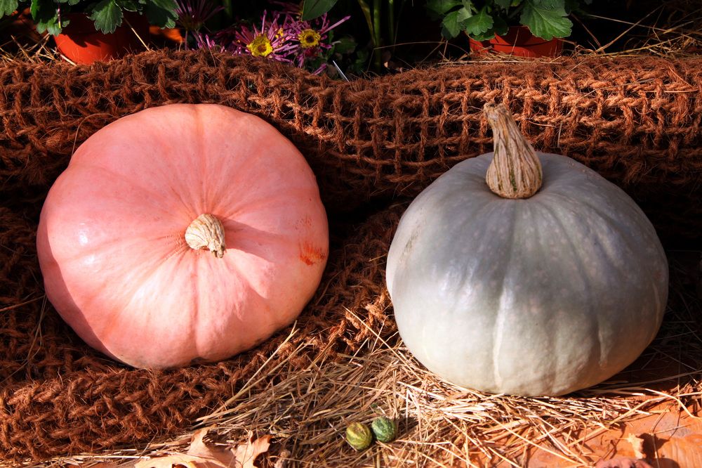 Photograph by Мария Утехина