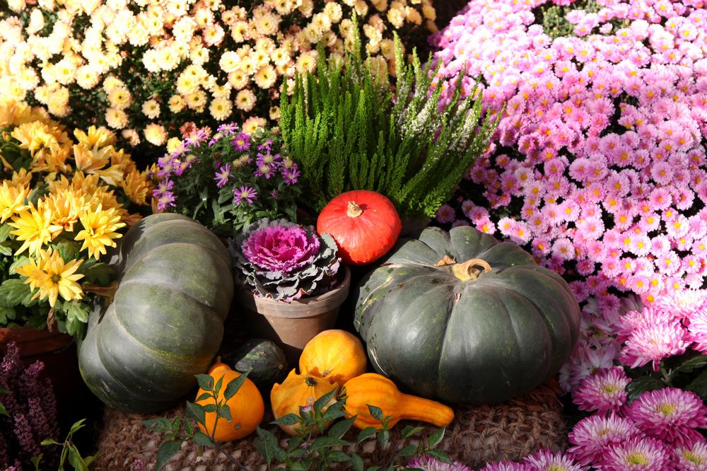 Photograph by Мария Утехина