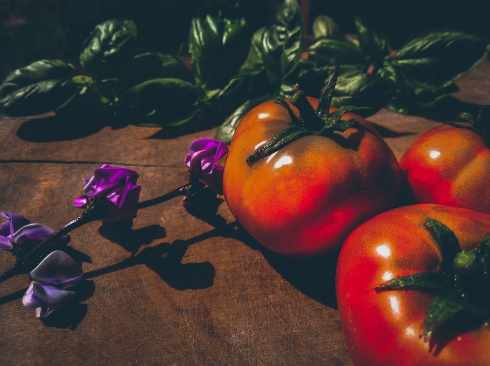 Photograph by Ирина Неруш