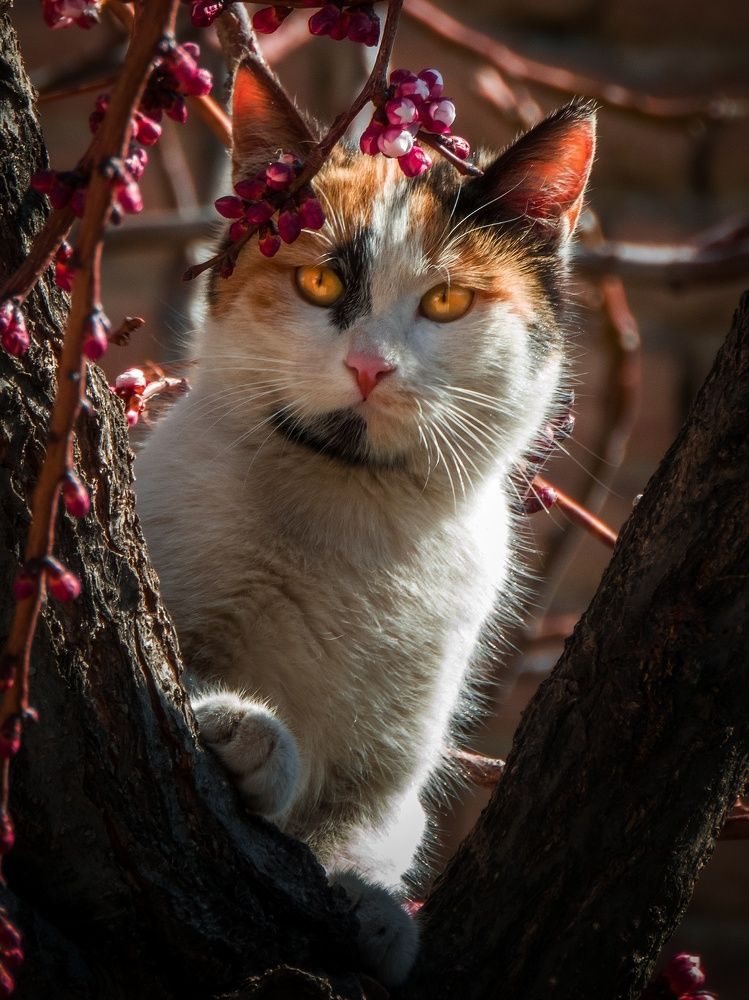 Photograph by Bahrami Ashkan