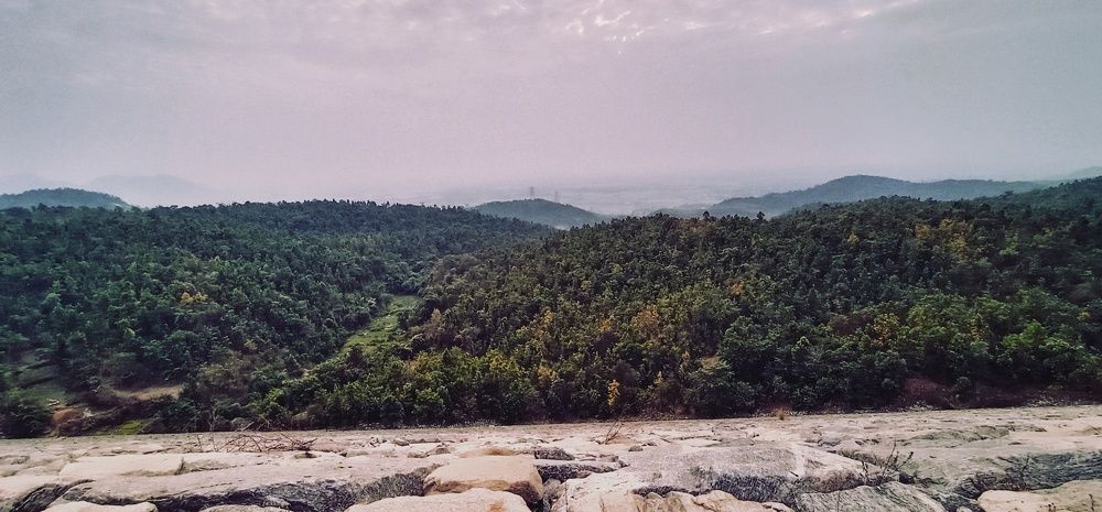 Photograph by Somnath mondal