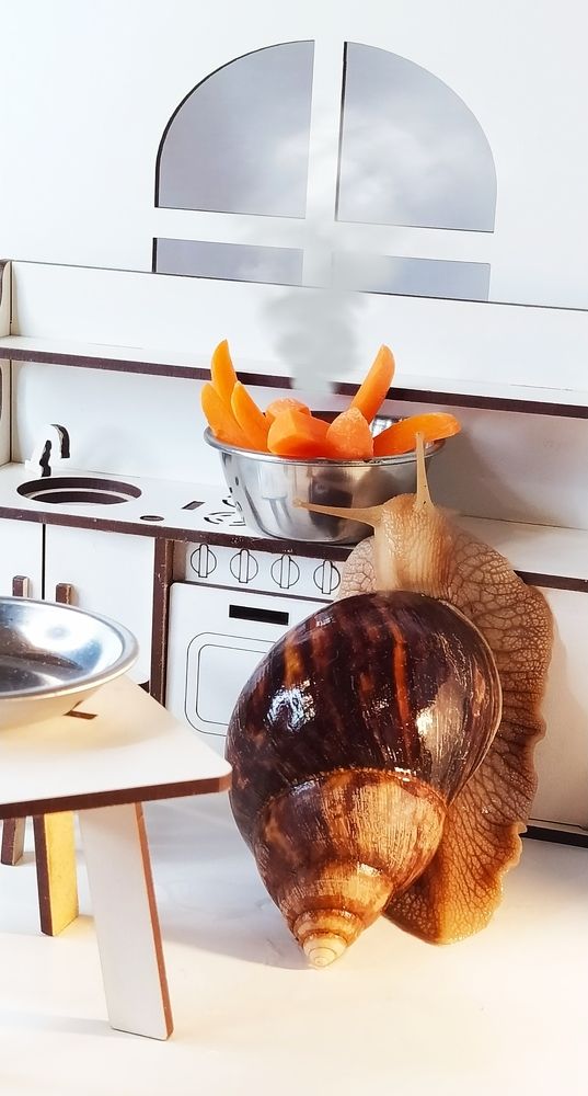 Мои ручные пришельцы.
